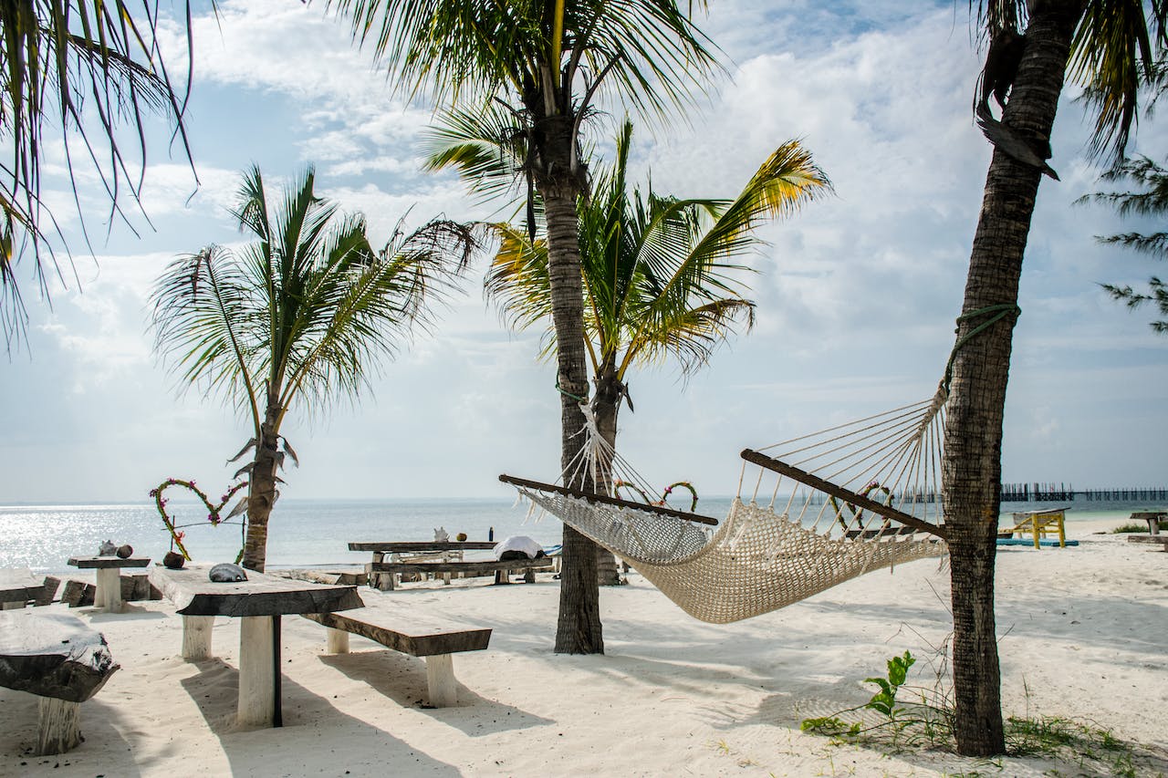 Tot ce trebuie să știi înainte de a vizita Zanzibar