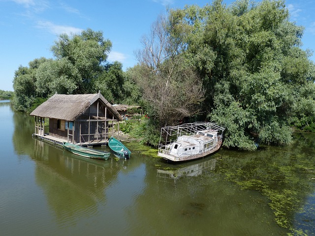 Trasee pe brațele Deltei: descoperirea naturii în armonie cu Delta Dunării