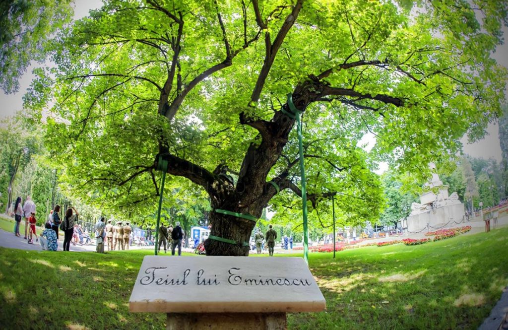 Parcul Copou și Teiul lui Eminescu